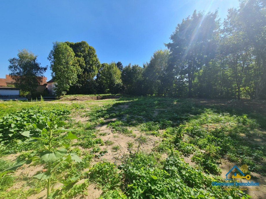  Wohngrundst�ck Obertraubling / Piesenkofen
