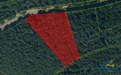 Hauptbild Nachhaltiger Sachwert: Waldgrundst�ck in der Oberpfalz